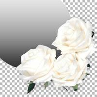 Top up view isolated white roses photo