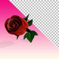 Close up view 3d render red rose flower isolated. photo