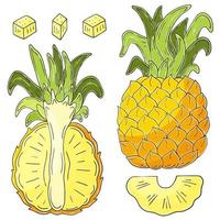 Set of vector illustrations in hand drawn style