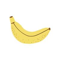 Doodle style banana of white background. Vector illustration.