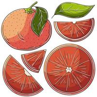 Set of vector illustrations in hand drawn style