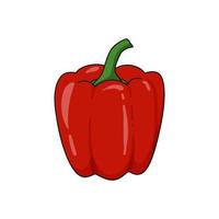 Red Paprika vector illustration drawn in cartoon style