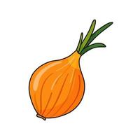 Onion bulb vector illustration in cartoon style