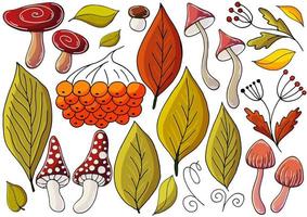 Autumn illustration in hand drawn style. Children's drawing
