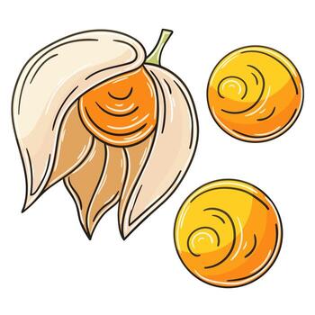 conjunto de ilustraciones vectoriales en estilo dibujado a mano vector