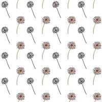 seamless pattern of dandelions on white background vector