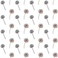 seamless pattern of dandelions on white background vector