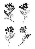 An unusual set of four original plants. Drawn by hand with ink. Vector illustration in doodle style.