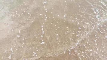 olas suaves en la playa con texto de saludo video