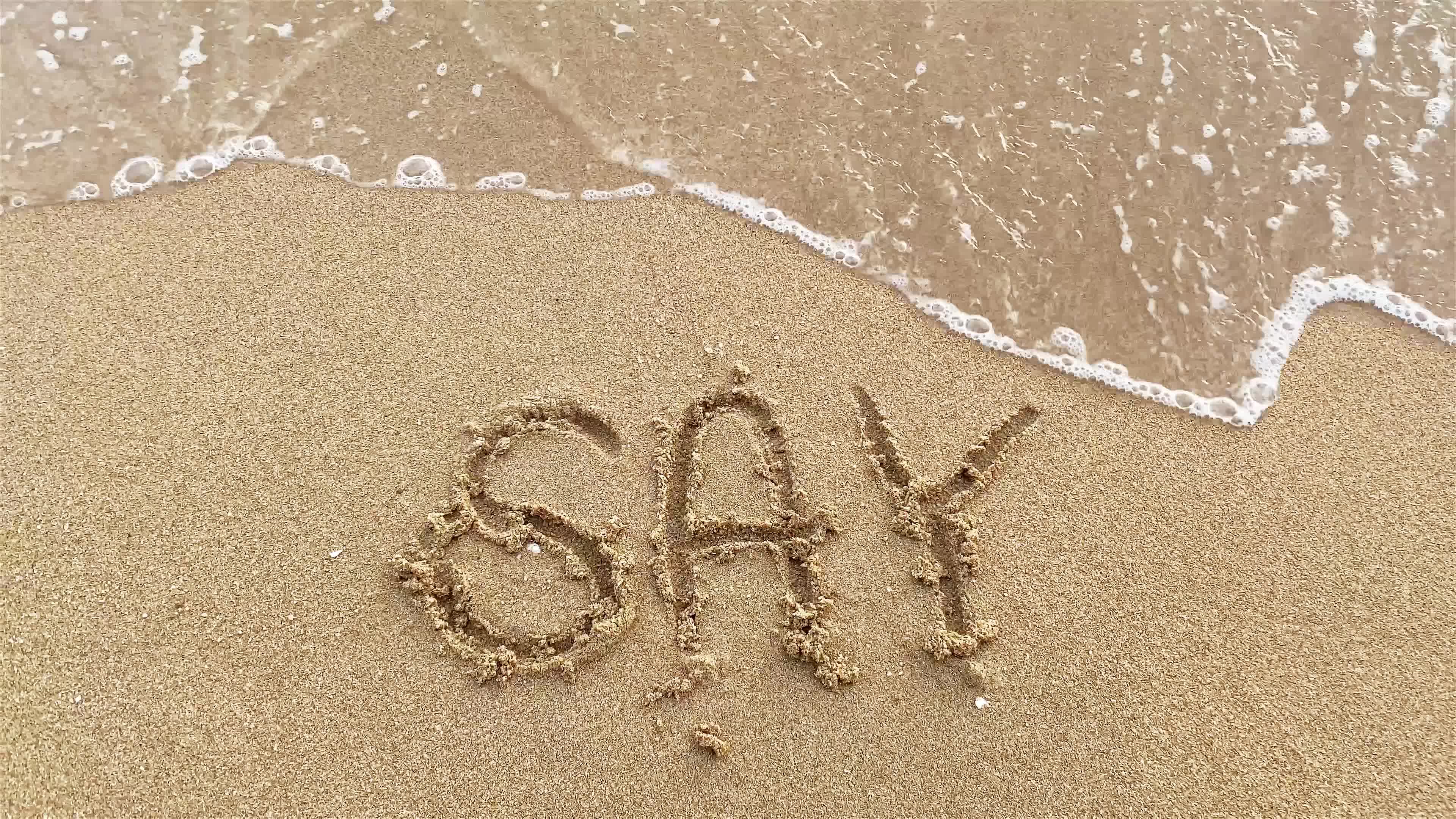 Say Stock Video Footage for Free Download