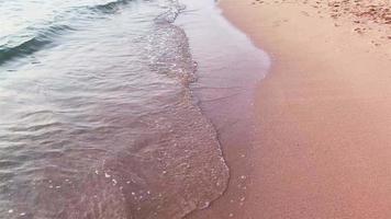 olas suaves en la playa video