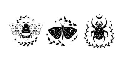 conjunto de ilustración vectorial de mariposa celestial, abeja y bicho con hojas. insecto mágico de la vendimia vector