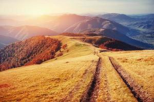 autumn alley. Carpathians. Ukraine, Europe photo