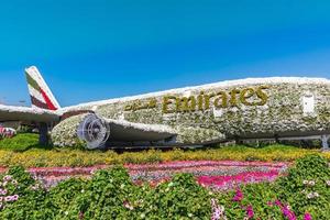 Dubai, UAE, 2022 - Miracle Garden Decoration photo