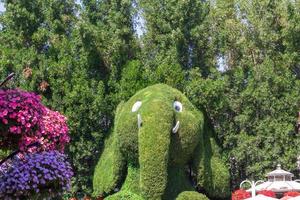 Dubai, UAE, 2022 - Miracle Garden Decoration photo