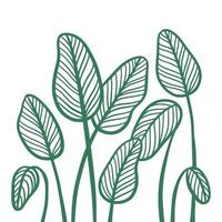 Abstract tropical leaves composition. Minimal design, freehand clip art drawn in modern sketch style. Elegant continuous line poster for a Scandinavian interior. Outline vector illustration.