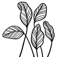 hojas tropicales en estilo boceto aisladas sobre fondo blanco. un montón de grandes árboles de hojas de palma en estilo lineal. impresión botánica minimalista de plantas exóticas, boceto para el diseño de telas. ilustración vectorial vector