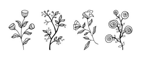 elementos florales de diseño vectorial dibujado a mano vector