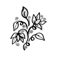 elementos florales de diseño vectorial dibujado a mano vector