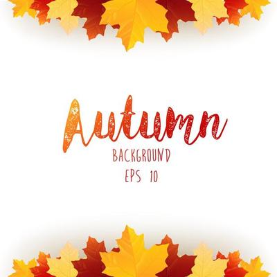 Autumn leaves frame isolated background