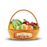 Fresh fruits in wicker basket isolated on white.vector