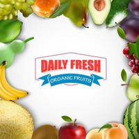 Fresh fruits frame on a white background.vector vector