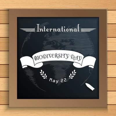 Biodiversity international day with Earth and white ribbon on blackboard