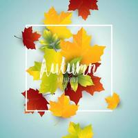 Autumn background with colorful maple leaves vector