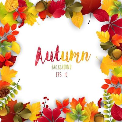 Autumn background frame isolated