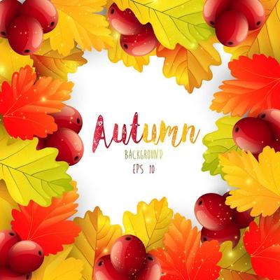 Autumn leaves frame background.Vector