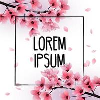 Fresh Cherry blossom, sakura flowers on white background.Vector vector