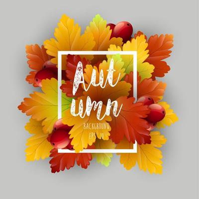 Autumn leaves background