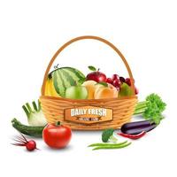 Vegetables and fruits in wicker basket isolated on white.vector