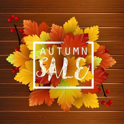 Autumn sale on wood background.Vector