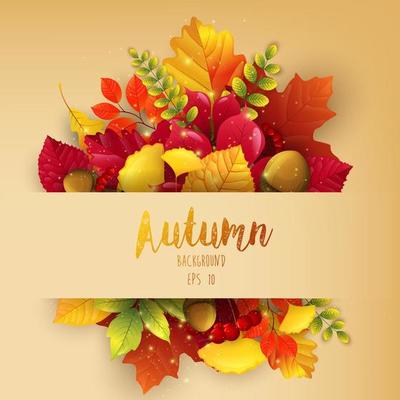 Autumn leaves frame background.Vector