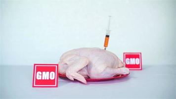 mão na luva médica furando seringas com produtos químicos no frango cru. mesas de OGM estão perto de frango cru. conceito de alimentos geneticamente modificados