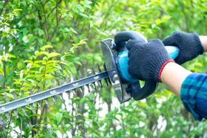 Gardener holding electric hedge trimmer to cut the treetop in garden. photo