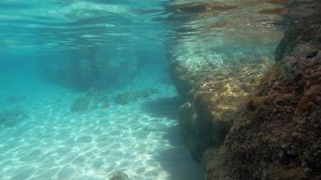 Underwater camera rock in blue sea video