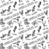 Seamless herbal pattern, drawn element in doodle style. Silhouettes of herbs, spices and names on white background - cumin, rosemary, basil, bay leaf, etc. Pattern in a fashionable linear style. vector