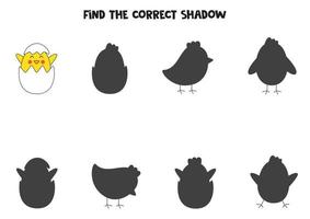 Find the correct shadow of cute yellow chick. Logical puzzle for kids. vector