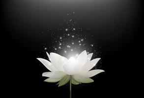 flor de loto blanco mágico sobre fondo negro.vector