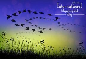 Birds migratory day on sunset background.Vector vector