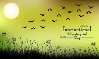 Field of grass and flying birds on night background.Vector vector