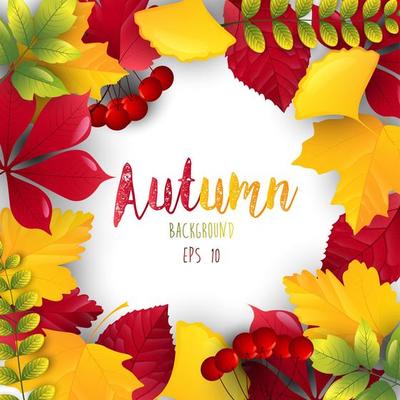 Autumn leaves frame isolated background