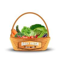 Vegetable in wicker basket isolated on white.vector vector