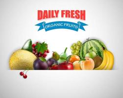 Fruits healthy background vector