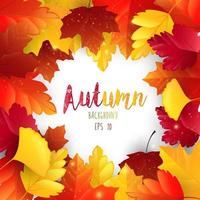 Autumn leaves frame background vector