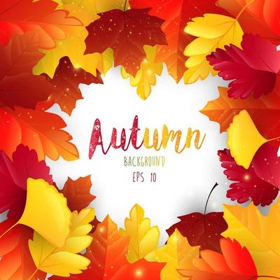 Autumn leaves frame background