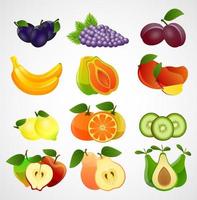 Fruits collection of slices on white background.Vector vector