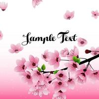 Sakura flowers background with field for text.Vector vector